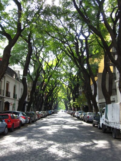 CAIAN NEGOCIOS INMOBILIARIOS